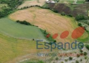 Casa indipendente Meldola - foto 39