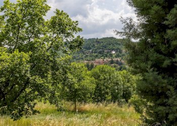 Casa indipendente Zola Predosa - foto 4