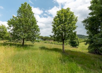 Casa indipendente Zola Predosa - foto 10