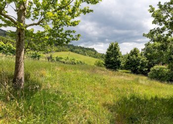 Casa indipendente Zola Predosa - foto 13