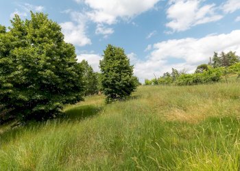 Casa indipendente Zola Predosa - foto 27