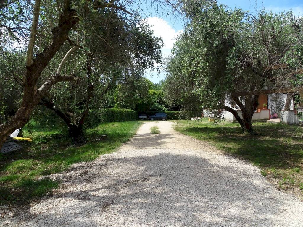 Villa Terni - foto 2