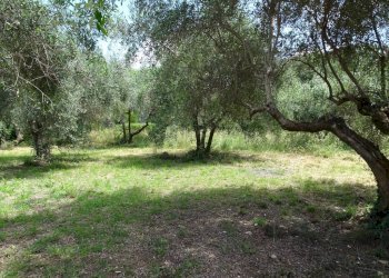 Villa Terni - foto 10