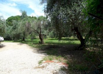 Villa Terni - foto 24