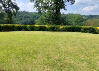 Rustico Asti - foto 12