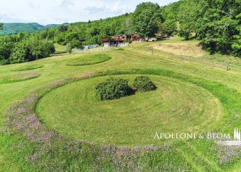 Rustico Poppi - foto 4