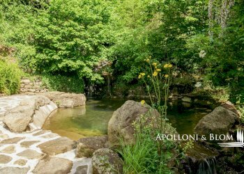 Rustico Poppi - foto 29