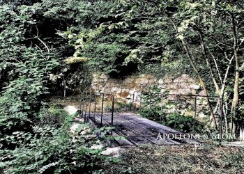 Rustico Poppi - foto 37