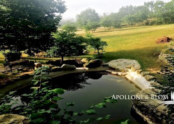 Rustico Poppi - foto 38