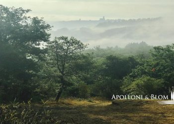 Rustico Poppi - foto 39