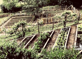 Rustico Poppi - foto 40