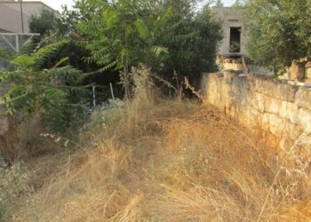 Terreno - Independent house Statte - photo 12