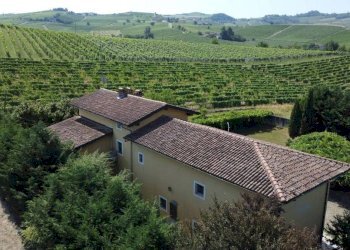 Vista - Rustico strada Vecchia di Castelboglione, Nizza Monferrato - foto 15