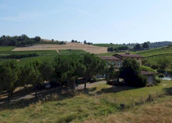 Terreno - Rustico strada Vecchia di Castelboglione, Nizza Monferrato - foto 11