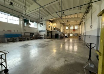 img_6646 - Capannone piazza Dell'artigianato, 47, Garzigliana - foto 4