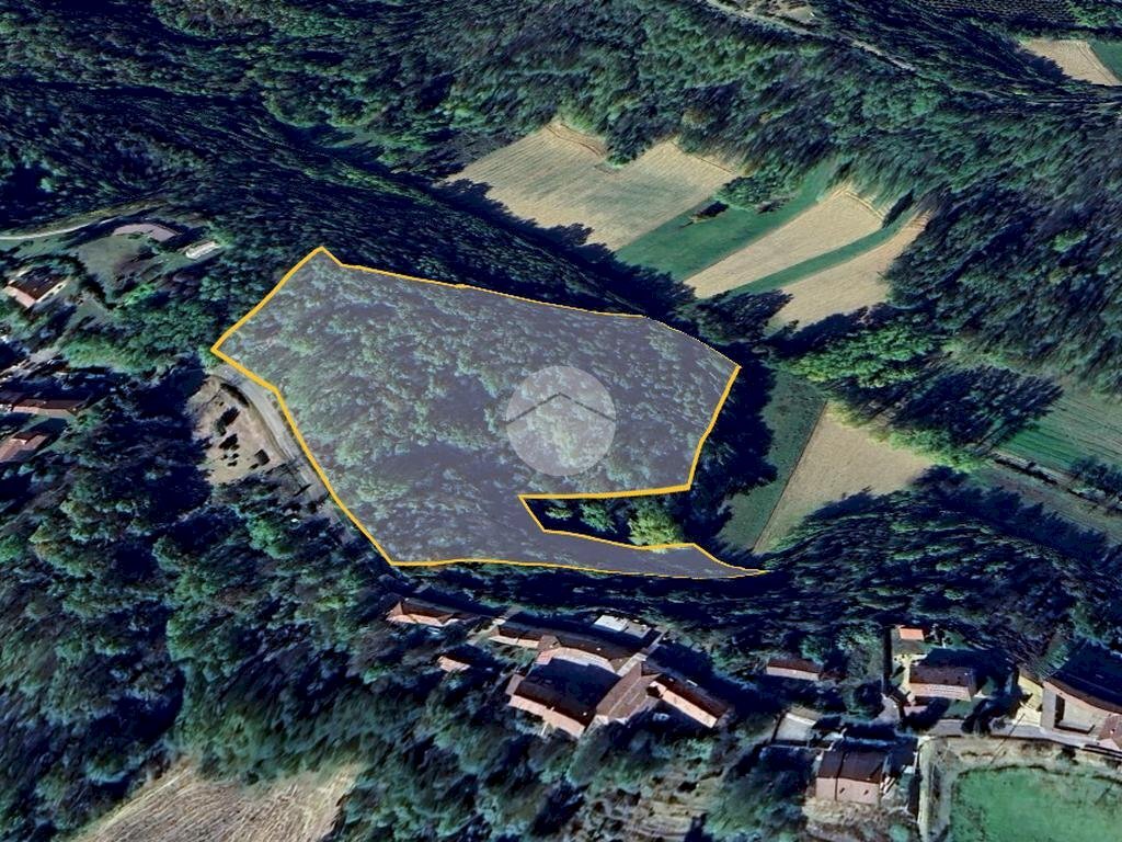 Terreno agricolo Regione Perno, Castell'Alfero - foto 2