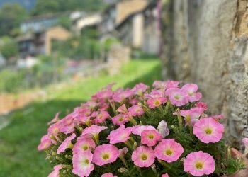 Independent house Borgata Ciapella, 3, Perosa Argentina - photo 35