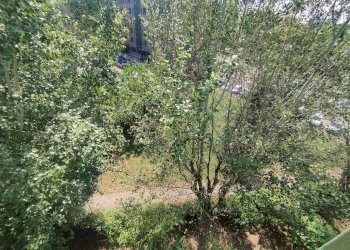 Trilocale via Pietro Giardini, Modena - foto 1