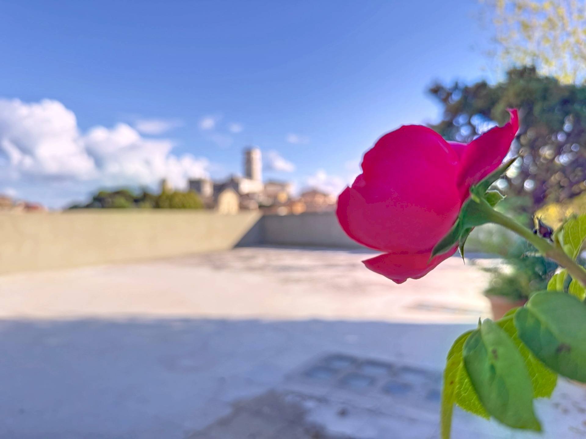 Foto 2 - Attico via E. Riva
3, Monterotondo - foto 2