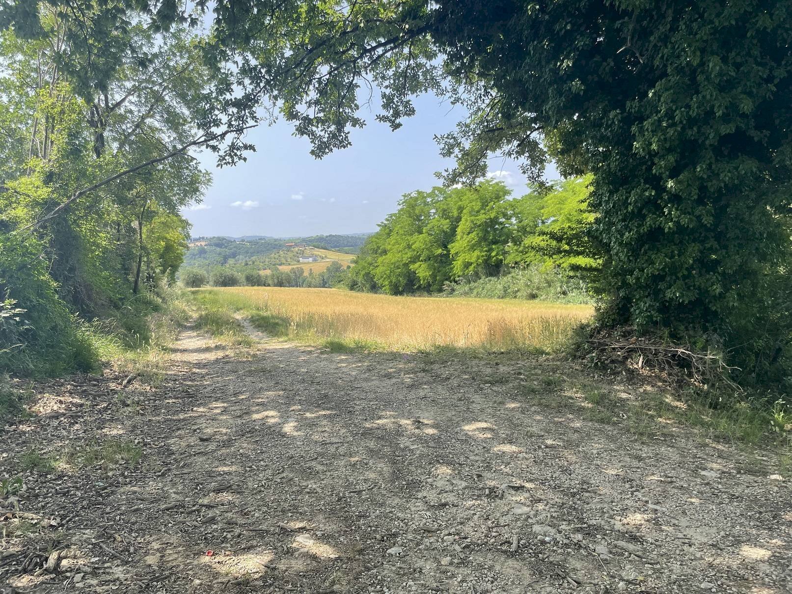 Foto 3 - Terreno agricolo Strada di Camartana, Narni - foto 3