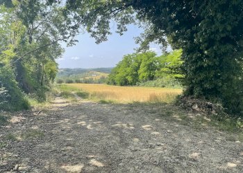 Foto 3 - Terreno agricolo Strada di Camartana, Narni - foto 3