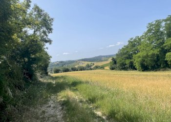 Foto 4 - Terreno agricolo Strada di Camartana, Narni - foto 4