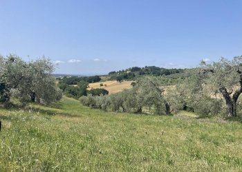 Foto 6 - Terreno agricolo Strada di Camartana, Narni - foto 6