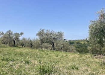 Foto 10 - Terreno agricolo Strada di Camartana, Narni - foto 10