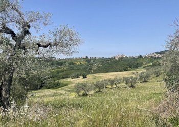 Foto 11 - Terreno agricolo Strada di Camartana, Narni - foto 11