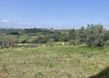 Foto 12 - Terreno agricolo Strada di Camartana, Narni - foto 12