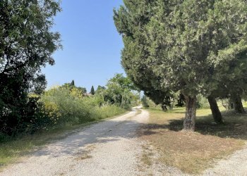 Foto 14 - Terreno agricolo Strada di Camartana, Narni - foto 14