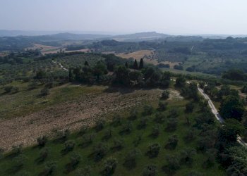 Foto 15 - Terreno agricolo Strada di Camartana, Narni - foto 15