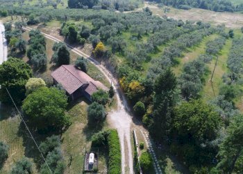 Foto 17 - Terreno agricolo Strada di Camartana, Narni - foto 17