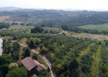 Foto 18 - Terreno agricolo Strada di Camartana, Narni - foto 18