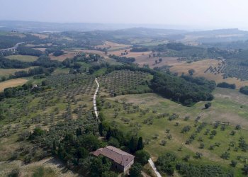 Foto 23 - Terreno agricolo Strada di Camartana, Narni - foto 23