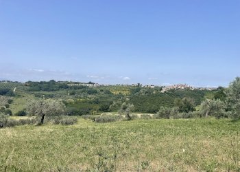 Foto 24 - Terreno agricolo Strada di Camartana, Narni - foto 24