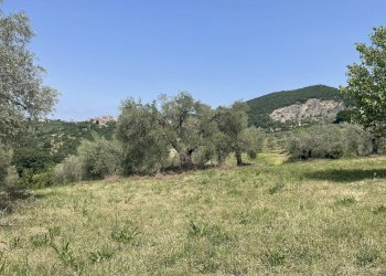 Foto 26 - Terreno agricolo Strada di Camartana, Narni - foto 26