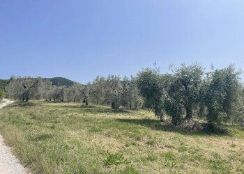 Foto 27 - Terreno agricolo Strada di Camartana, Narni - foto 27