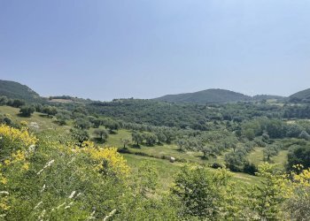 Foto 28 - Terreno agricolo Strada di Camartana, Narni - foto 28