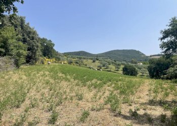 Foto 29 - Terreno agricolo Strada di Camartana, Narni - foto 29