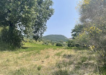 Foto 30 - Terreno agricolo Strada di Camartana, Narni - foto 30