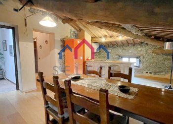 Foto 44 - Villa Piazza al Serchio - foto 44