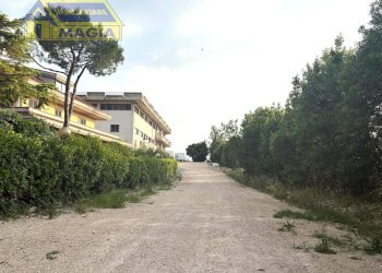 Foto 6 - Shed 6, Ancarano - photo 6