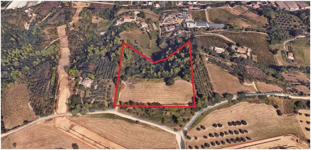 Foto 1 - Terreno agricolo Strada Comunale Montesecco, Grottammare - foto 1
