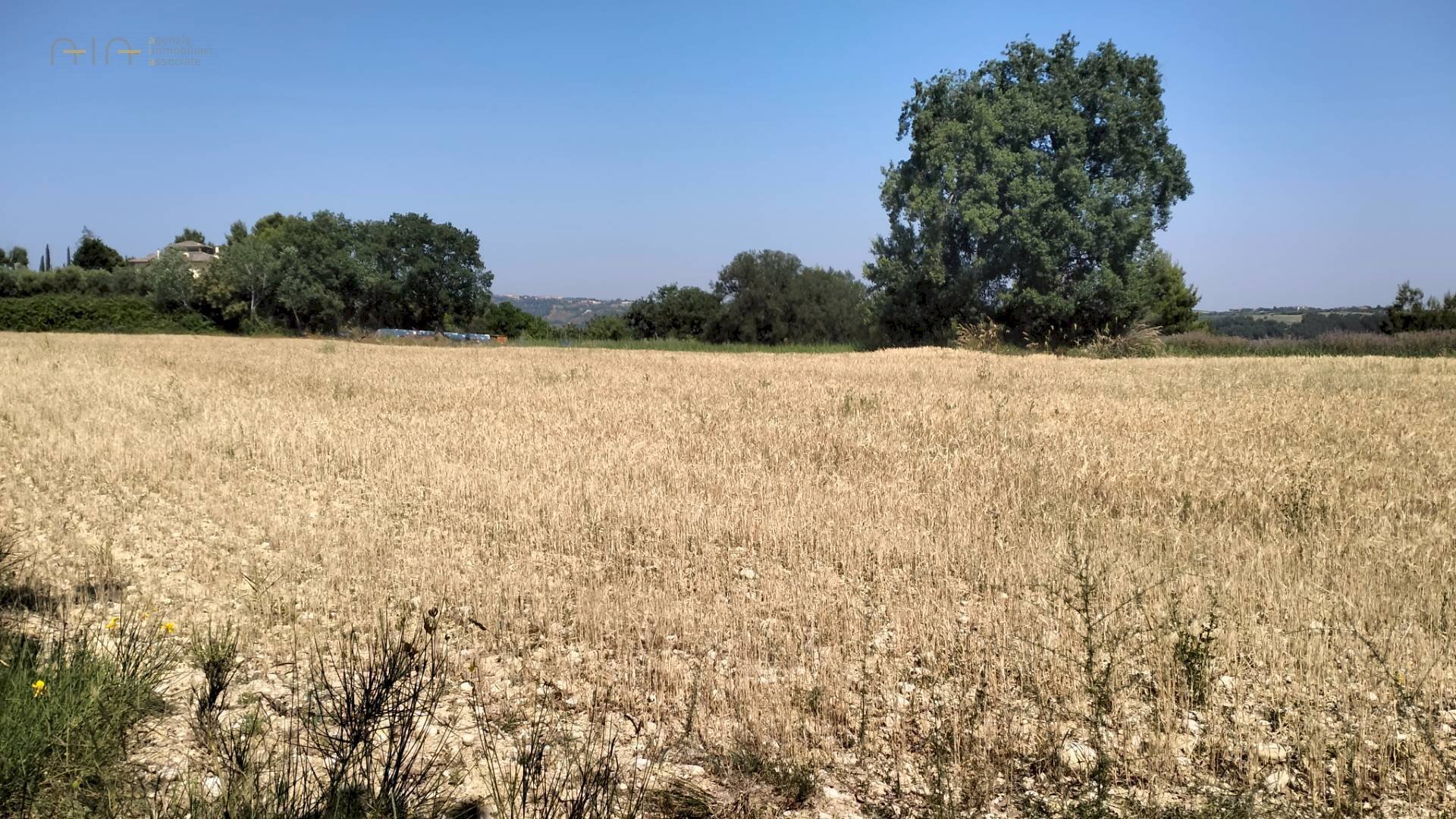 Foto 2 - Terreno agricolo Strada Comunale Montesecco, Grottammare - foto 2