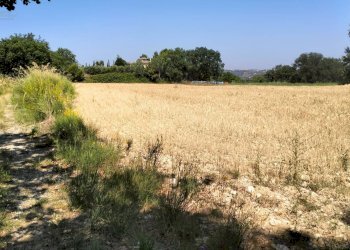 Foto 7 - Terreno agricolo Strada Comunale Montesecco, Grottammare - foto 7