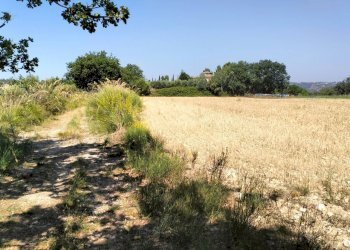 Foto 8 - Terreno agricolo Strada Comunale Montesecco, Grottammare - foto 8