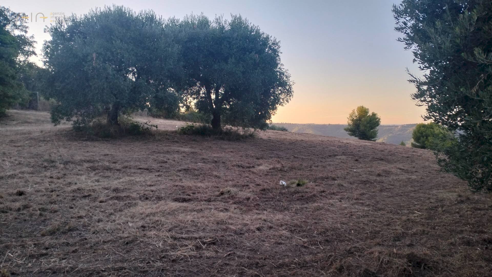 Foto 3 - Terreno agricolo Strada Comunale Montesecco, Grottammare - foto 3