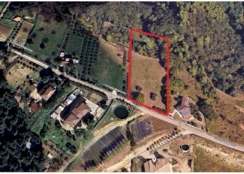 Foto 1 - Terreno agricolo Strada Comunale Montesecco, Grottammare - foto 1