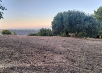 Foto 2 - Terreno agricolo Strada Comunale Montesecco, Grottammare - foto 2